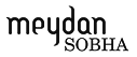 Developer